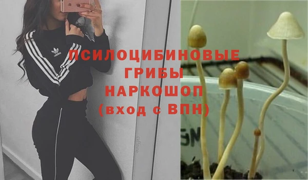 молекула духа Ростов