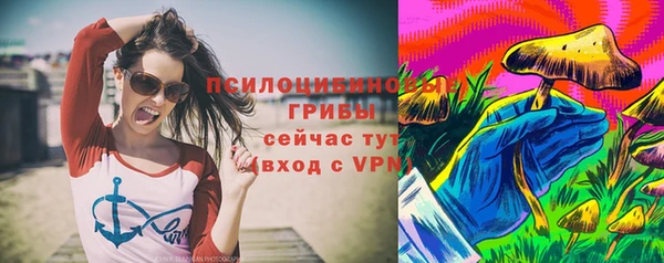 молекула духа Ростов