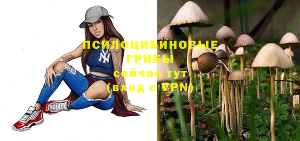 молекула духа Ростов